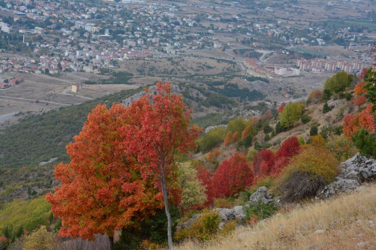 Konya’da doğa renk değiştirdi! Görenleri kendine hayran bırakıyor 9